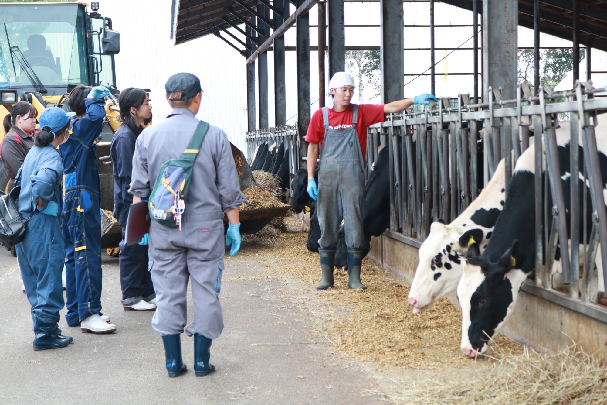 北海道の酪農体験からSDGsを学ぶ！？―サステイナビリティスタディツアーin北海道